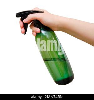 Eine Frau gießt Topfpflanzen mit Wasser aus einer Sprühflasche, während sie in einem Wohnzimmer steht, isoliert auf weißem Hintergrund Stockfoto