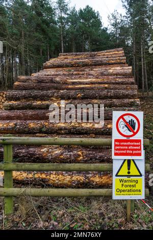 Warnschilder auf gestapeltem Schnittholz auf dem Sandringham Estate in Norfolk. Stockfoto