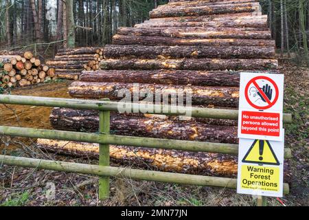 Warnschilder auf gestapeltem Schnittholz auf dem Sandringham Estate in Norfolk. Stockfoto