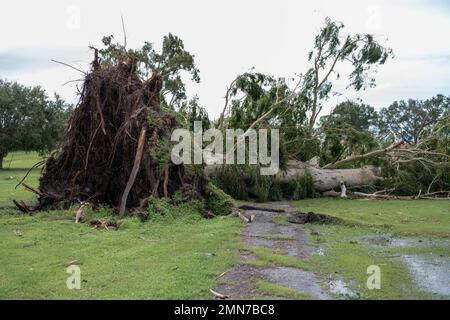 Schäden durch den Ungezwungener Ian wurden auf der MacDill Air Force Base, Florida, am 29. September 2022, gezeigt. Hurrikan Ian landestürf im Südwesten Floridas als Hurrikan der Kategorie 4. Stockfoto