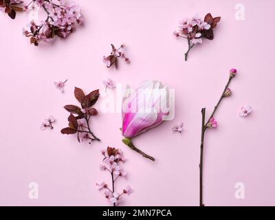 Muster mit Kirschblüten und Magnolienblüten auf pinkfarbenem Hintergrund. Flach. Frühlingsatmosphäre. Stockfoto