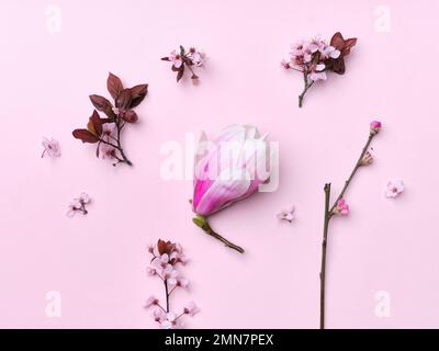 Muster mit Kirschblüten und Magnolienblüten auf pinkfarbenem Hintergrund. Flach. Frühlingsatmosphäre. Stockfoto