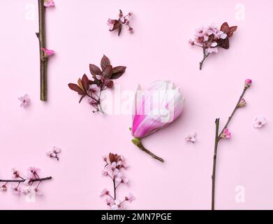 Muster mit Kirschblüten und Magnolienblüten auf pinkfarbenem Hintergrund. Flach. Frühlingsatmosphäre. Stockfoto