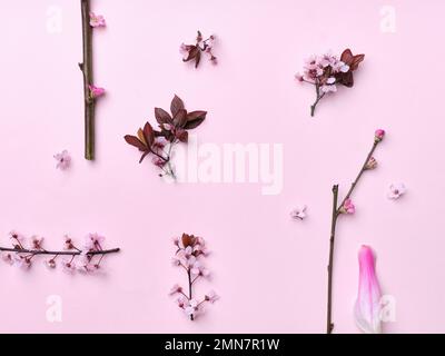 Muster mit Kirschblüten und Magnolienblüten auf pinkfarbenem Hintergrund. Flach. Frühlingsatmosphäre. Stockfoto