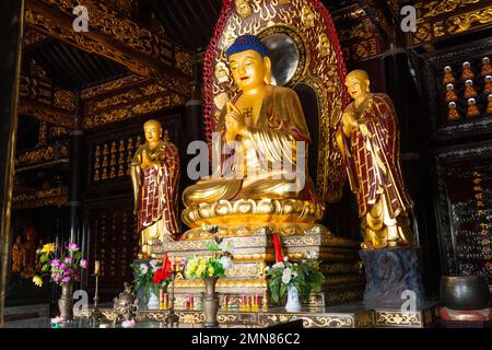 Buddhistischer Schrein mit goldenem Buddha auf Thronsitz im Saal von Sakyamuni im berühmten Daci'en Tempel im Yanta-Viertel von Xi'an. China. VR CHINA. (125) Stockfoto