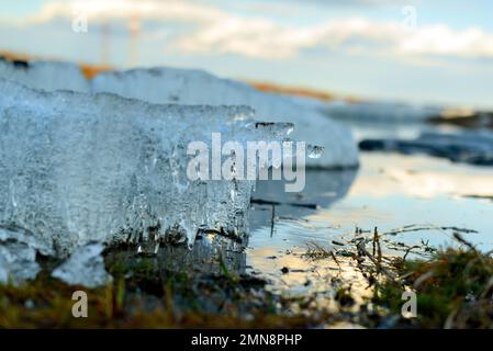 Kleine Eisstücke mit Tropfen am Ufer des Flusses schmelzen durch die Hitze im Frühling. Stockfoto