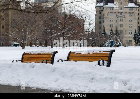 Schneebedeckte Bänke im Major's Hill Park im Zentrum von Ottawa, Kanada. Schneefall im Winter. Stockfoto