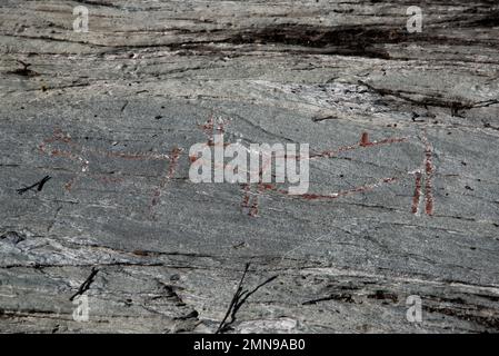 Vor fast 7000 Jahren bauten Steinfischer und Rentierhirten berühmte Felsschnitzereien in Kirkely in der Nähe von Tennes in Balsfjord in Nordnorwegen Stockfoto