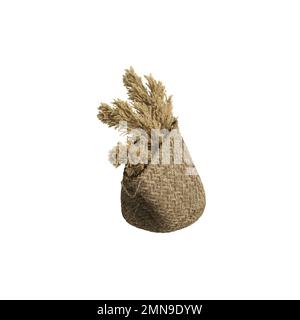 3D Darstellung der Pampasblume im Handkorb isoliert auf weißem Hintergrund Stockfoto