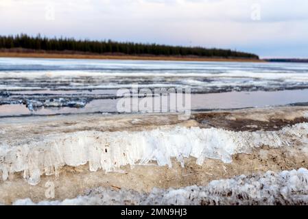 Das letzte Frühlingsnadeleis schmilzt in Streifen auf dem eisigen Fluss Vilyui in Yakutia vor dem Hintergrund eines Waldes. Stockfoto
