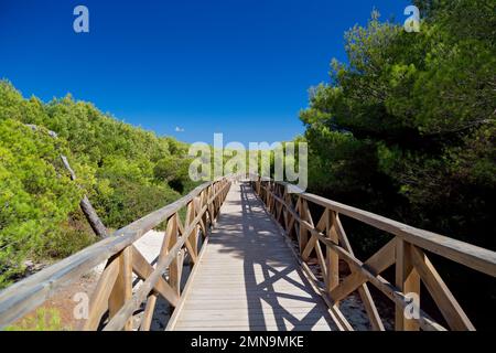 Die hölzerne Fußgängerbrücke zum Strand an einem sonnigen Sommertag auf Mallorca, Spanien Stockfoto