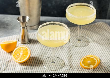 Erfrischender Meyer Lemon Drop Martini mit Zuckerrand Stockfoto