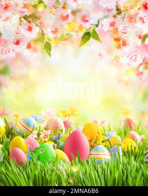 Ostereier, Hase und Frühlingsblumen auf der Wiese. Osterkonzept. Frühling oder Sommer Hintergrund mit frischem Gras auf blauem Himmel Hintergrund mit Kopierfläche. Stockfoto