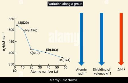 Variation entlang der Gruppe: Der Atomradius wird in der Gruppe nach unten vergrößert. Stock Vektor