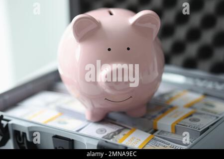 Pinkfarbenes Sparschwein auf vielen Päckchen Dollarscheine aus der Nähe. Stockfoto