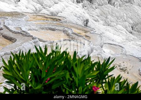 Blick auf trockene traventines in Pamukkale an einem sonnigen Sommertag. Ansicht von oben. Truthahn Stockfoto