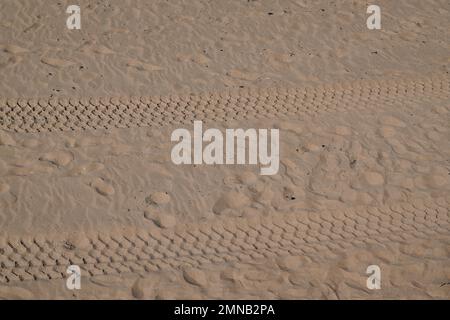 Reifenbahn auf Sand am Wüstenstrand auf dem feinen Sand der Wüstendüne Stockfoto