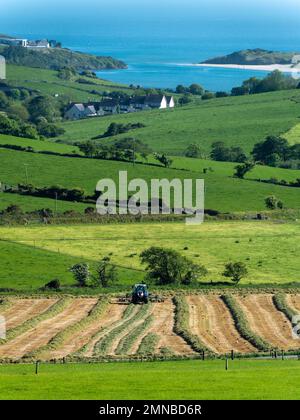 Traktor auf dem Feld auf einer Feder. Malerische Landschaftslandschaft Irlands. Heu für die Tierernährung ernten. Bauernhof. Grünes Grasfeld Stockfoto