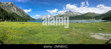 Kanton Graubünden, Schweiz: Panorama des Maloja-Sees Stockfoto