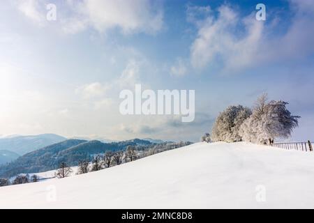 Kaumberg: Gutenstein-Alpen im Schnee in Mostviertel, Niederösterreich, Niederösterreich, Österreich Stockfoto