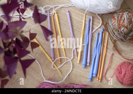 Draufsicht auf verschiedene bunte Häkelhaken aus Kunststoff in der Nähe von Wollkugeln, lila Zimmerpflanzen auf Holztisch. Handwerk. Stockfoto