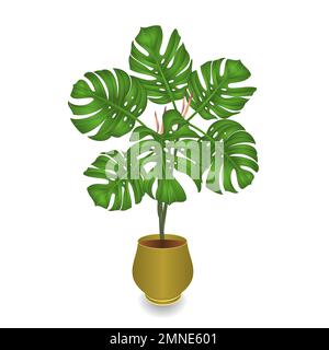 Der tropische Dschungel der Philodendron Pflanze lässt sich natürlich im Topf auf weißem Hintergrund entfalten Vektor Illustration editierbar handgezeichnet Stock Vektor