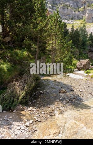 Der Bergfluss in den pyrenäen im cirque de gavarnie im Süden frankreichs Stockfoto