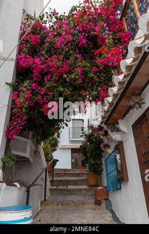 Calle típica de Frigiliana, Málaga, uno de los pueblos más bonitos de España. Con sus paredes blancas, sus calles estrechas y con muchas eskaleras Stockfoto