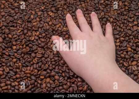 Frauenhand Nahaufnahme des Hintergrunds gerösteter Kaffeebohnen. Café-Konzept Stockfoto