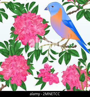 Nahtlose Textur kleiner Vogel Bluebird Soor und Pinkrhododendron Frühlingshintergrund Vintage-Vektordarstellung editierbar Handzeichnen Stock Vektor