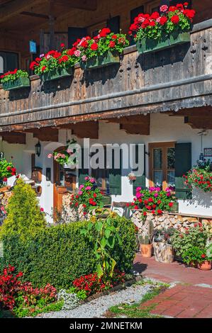 In Wegscheid bei Lenggries, Bayern, umgebautes Bauernhaus mit Blumendekorationen Stockfoto