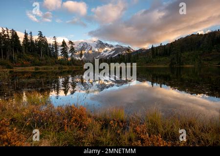 Mt. Shuksan-Gletscher mit Schnee im Picture Lake, bewaldete Berglandschaft im Herbst, bei Sonnenuntergang, Mt. Baker-Snoqualmie National Forest Stockfoto