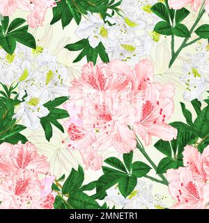 Nahtlose Textur Zweige weiß und rosa Blumen Rhododendren Bergstrauch Natur Hintergrund vintage Vektor Illustration Hand zeichnen Stock Vektor