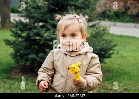 Ein kleines Kleinkindermädchen im Trenchcoat pflückt im Frühlingsgarten gelbe Löwenzahne. Süßes kleines Mädchen, das die einfachen Freuden der Kindheit genießt und Stockfoto