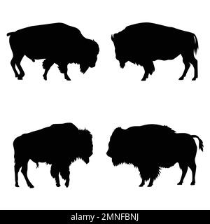 Set von American Bison Silhouettes Vector auf weißem Hintergrund Stock Vektor