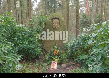 Heinrich Zille Grave, Südwestkirchhof, Bahnhofstraße, Stahnsdorf, Brandenburg, Deutschland Stockfoto