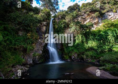 Paluz-Wasserfall in der Umgebung der Stadt San Gabriel, Provinz Carchi, wunderschöner Wasserfall inmitten der Andenvegetation Stockfoto