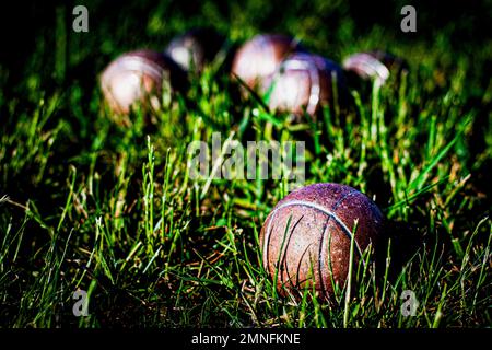 Petanque (Boule)-Bälle in grünem Gras Stockfoto