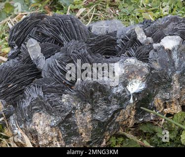 Mineralprobe von hyalinem Quarz und Barit im Gras Stockfoto