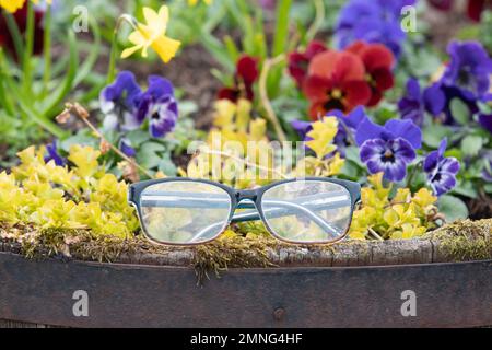 Brille verloren Stockfoto