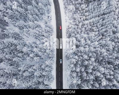 Schneebedeckte Bäume im Wald und Autos an der Straßenlinie in den Bergen. Winterlandschaft in den Bergen. Panoramafoto der Luftdrohne. Stockfoto