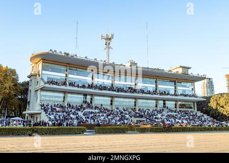 Palermo Hippodrome, Buenos Aires, Argentinien. Haupttribüne mit Menschen und Rennstrecke. Stockfoto