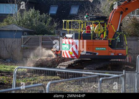 Hartwell, Aylesbury, Großbritannien. 30. Januar 2023. HS2 haben in Hartwell, Aylesbury, eine weitere Reihe sehr beliebter Eichen neben der A418 gefällt. Die Bauunternehmer Martin Fencing and Forestry (siehe Abbildung) waren heute erneut vor Ort, um die Äste von Bäumen zu entfernen, in denen sich gestern Raben befanden. HS2 Uhr Sicherheitsdienst umgab den öffentlichen Fußweg neben den Bäumen, sodass es für schockierte Einheimische ein Einschüchterungsversuch war, an ihnen vorbeizulaufen. Die Einheimischen und Umweltschützer sind wütend darüber, wie HS2 Ltd die Landschaft, Bäume und Lebensräume der Tierwelt zerstört. Kredit: Maureen McLean/Alamy Live News Stockfoto