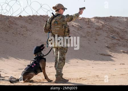 Prince Sultan Air Base, Saudi-Arabien. 21. Januar 2023. USA Air Force Staff Sergeant Leirin Simmons, 378. Expeditionary Security Forces Squadron K9 Handler, trainiert Ffreddie, ihren militärisch arbeitenden Hund, auf einem Schießstand auf dem Prince Sultan Air Base, Königreich Saudi-Arabien, Januar. 21, 2023. K9 die Verteidiger und ihre Betreuer müssen gemeinsam im Umgang mit Feuerwaffen trainieren, um in stressigen realen Situationen eine sichere Interoperabilität zu gewährleisten. Kredit: USA Air Force/ZUMA Press Wire Service/ZUMAPRESS.com/Alamy Live News Stockfoto