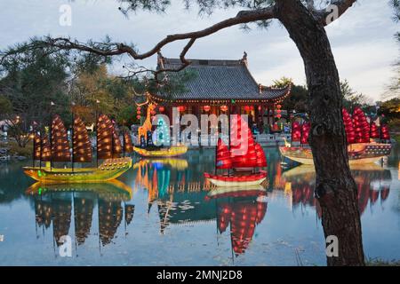 Silhouetten von Baumstämmen und beleuchteten chinesischen Junks-Laternen und Friendship Hall-Pavillon am Dream Lake während der jährlichen Ausstellung Magic of Laternen. Stockfoto