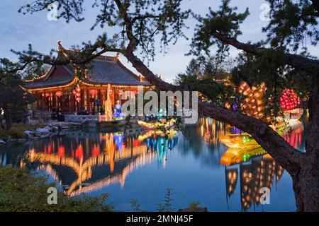 Silhouetten von Baumzweigen und beleuchteten chinesischen Junks-Laternen und Friendship Hall-Pavillon am Dream Lake während der jährlichen Magic of Laternen. Stockfoto