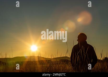 Silhouette des Menschen im Feld bei Sonnenuntergang Stockfoto