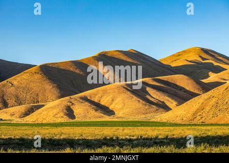 USA, Idaho, Bellevue, blauer Himmel über goldenen Hügeln am späten Nachmittag Stockfoto