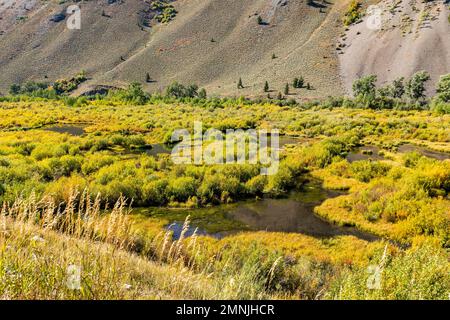 USA, Idaho, Sun Valley, Beaver Ponds im Herbst Stockfoto