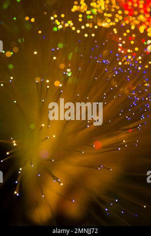 Nahaufnahme beleuchteter Lichtwellenleiter. Stockfoto